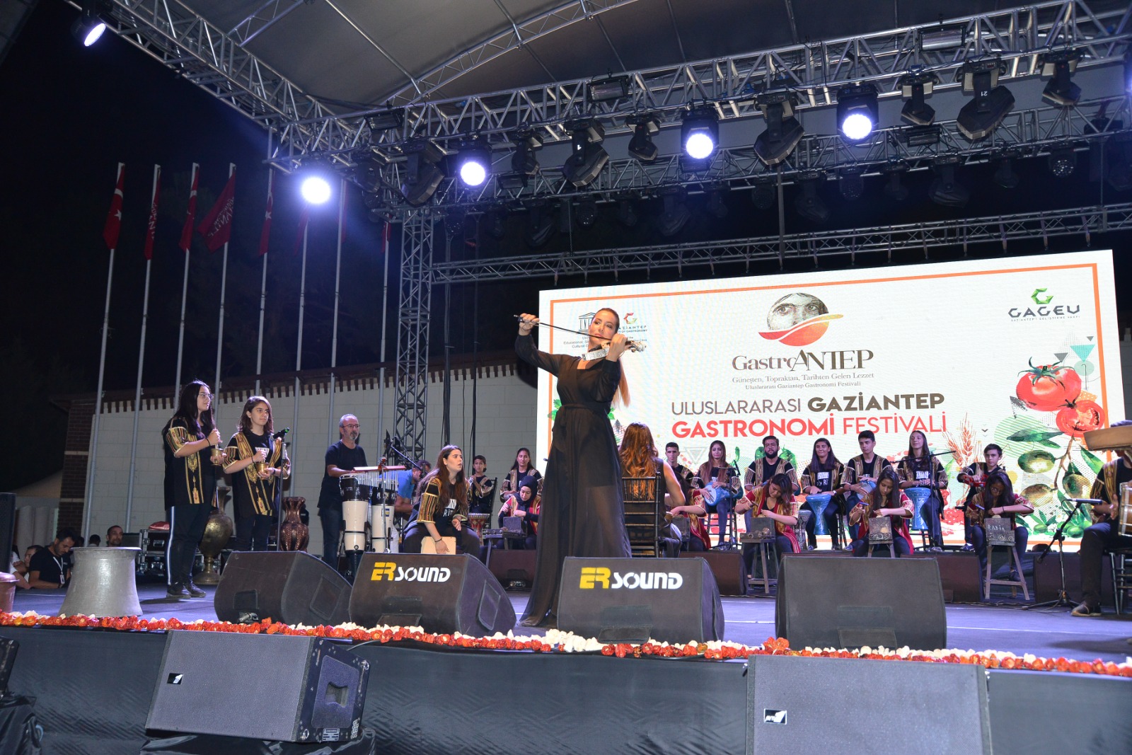 Program Resmi