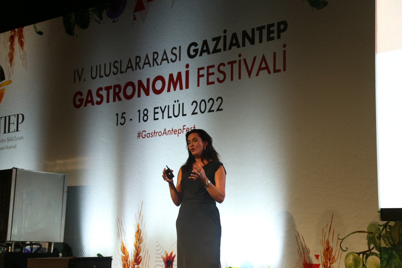 Program Resmi