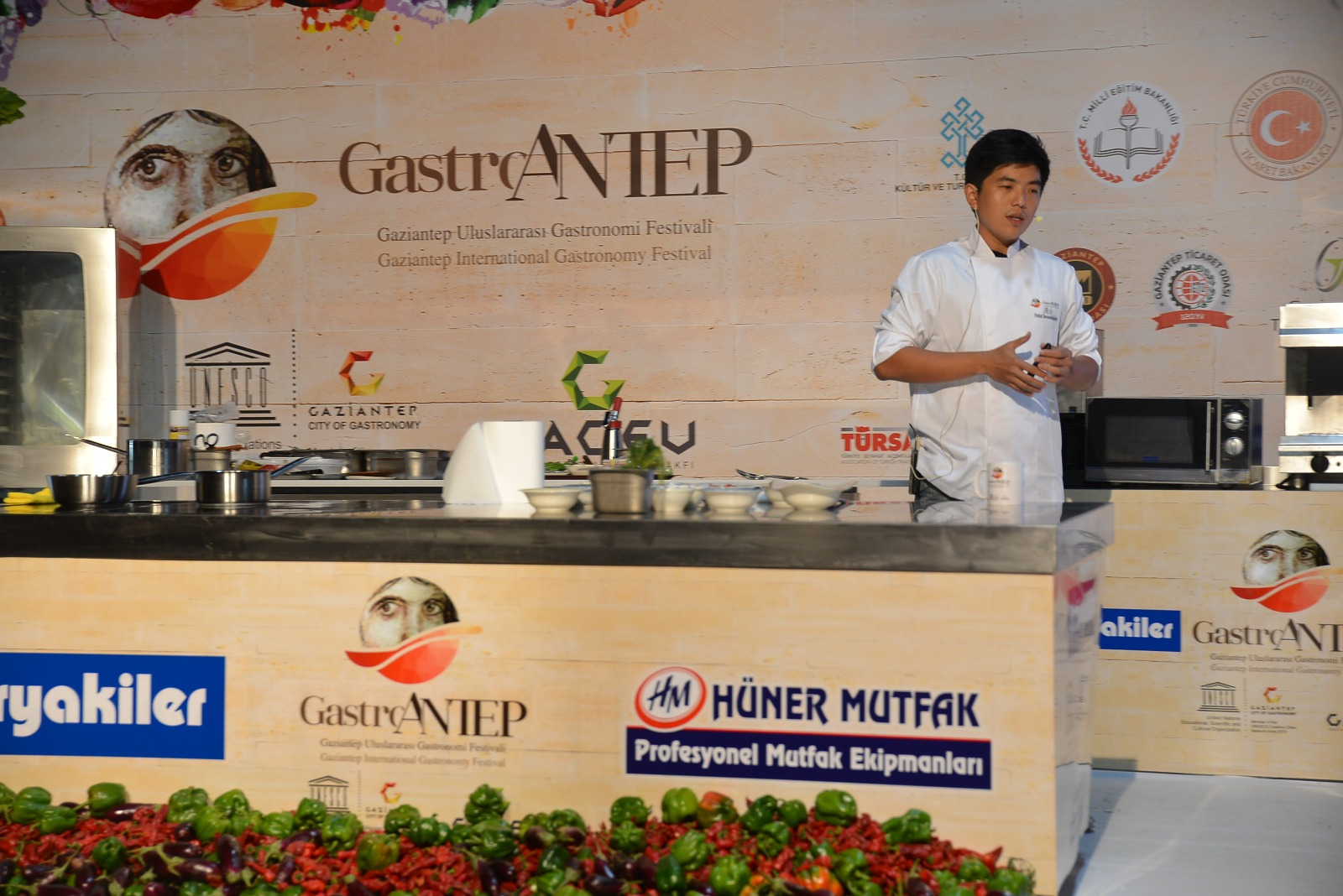 Program Resmi