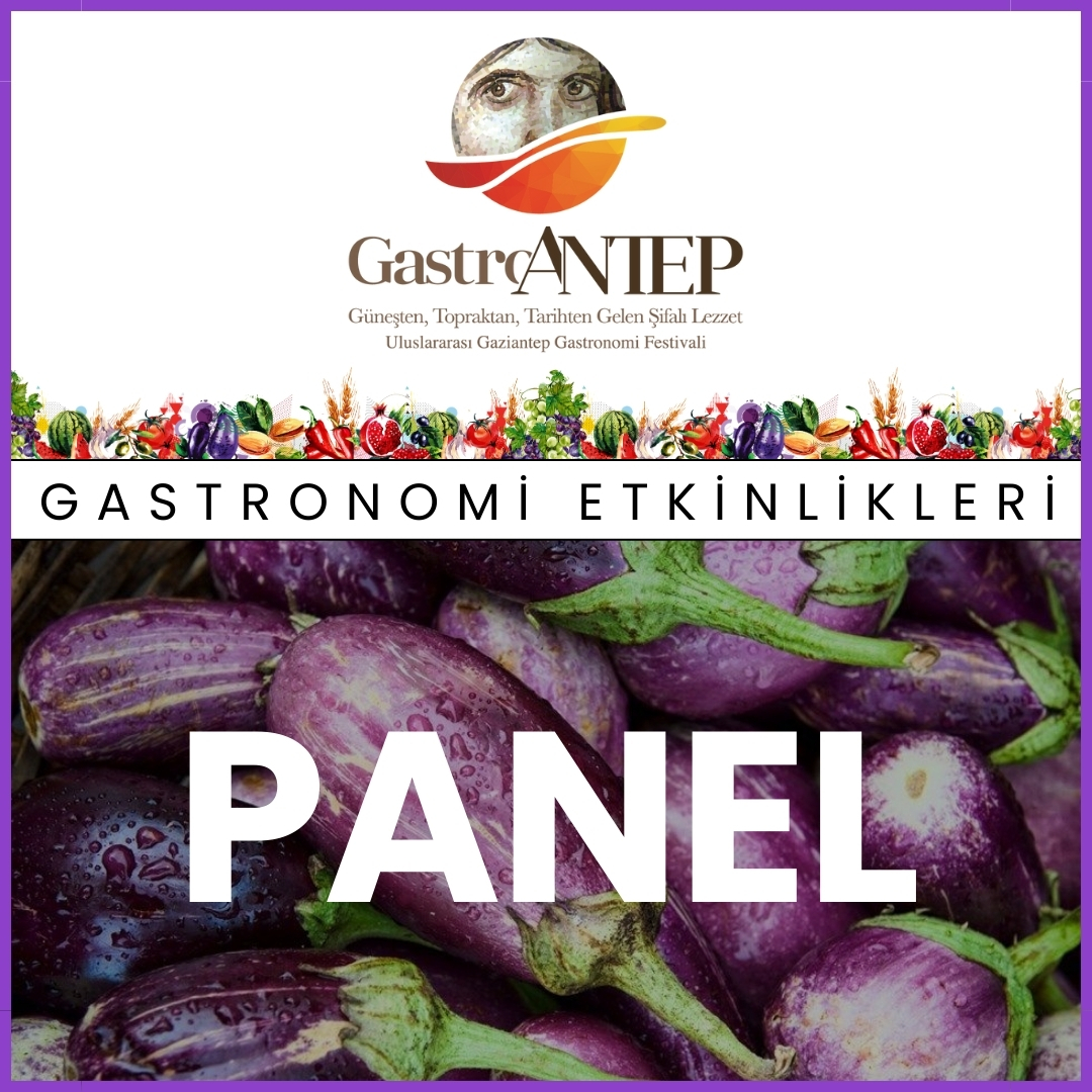 Panel
