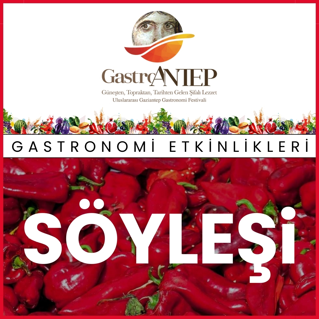 Söyleşi